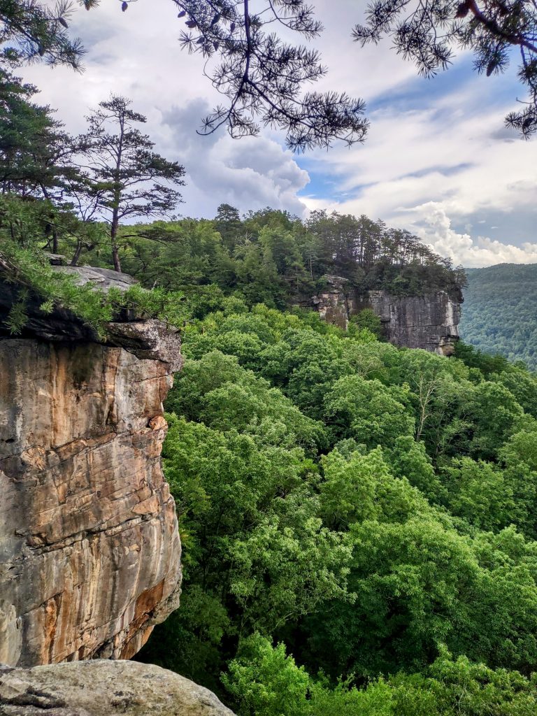 A photo of mountains and trees.